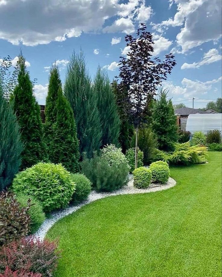 Tree Trimming Service