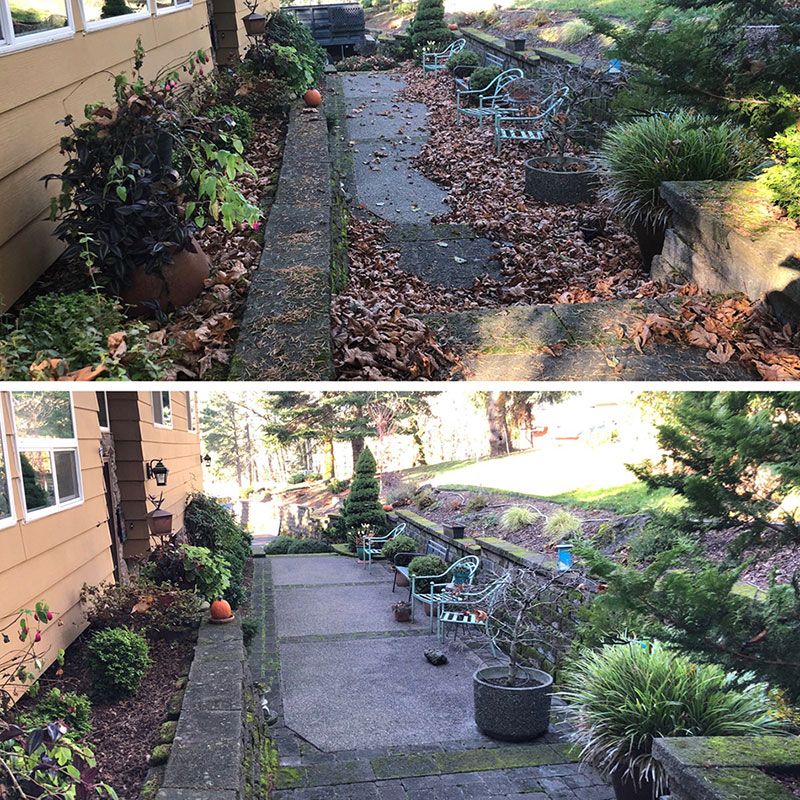 Power Washing & Surface Cleaning